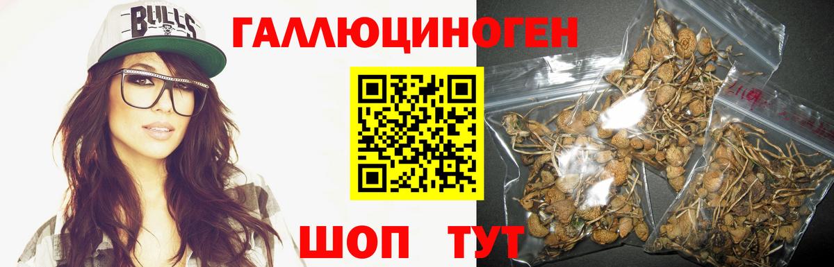 Псилоцибиновые грибы мухоморы Жуковский